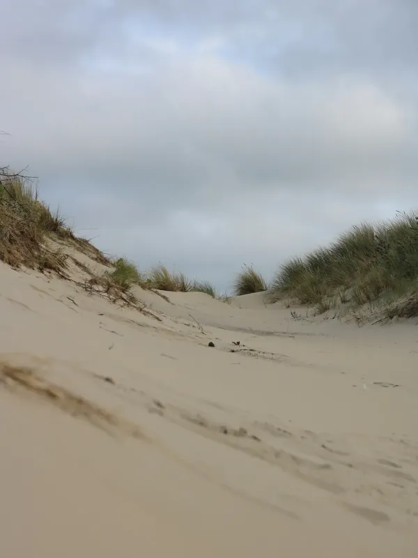 Sandy dunes